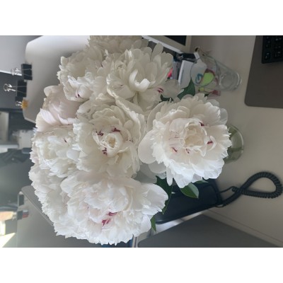 Фото отзыв: Отличные цветы! любовались всем офисом, распустились и стали ещё краше! очень советую)<br />
Спасибо продавцу!