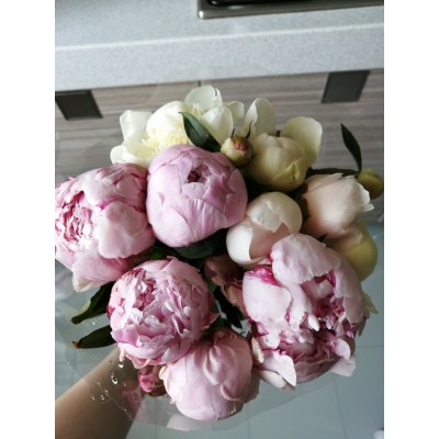 Фото отзыв: Заказывала пионы. Всё замечательно, и пахли, и простояли 5-6 дней, как и обещали! Привезли вовремя, упакованы были в целофан с водой. 