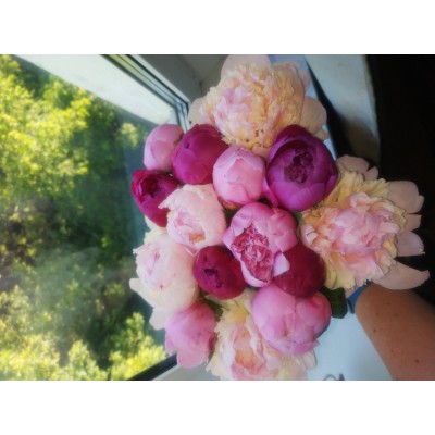 Фото отзыв: Спасибо за шикарный букет пионов!) очень приятный и менеджер и курьер! Буду рекомендовать вас своим друзьям и знакомым! <br />
Надеюсь, что букет простоит долго! <br />
Желаю вам успехов и продаж!) 