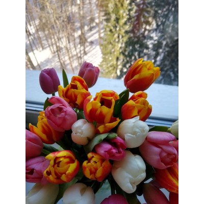 Фото отзыв: Роскошные букеты тюльпанов!  Огромное спасибо. <br />
<br />
