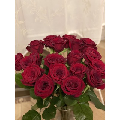 Фото отзыв: Спасибо за слаженную работу. Заказываю не первый раз.<br />
К сожалению, немного огорчило, что не оказалось выбранной длины стебля (70-80 см) выбранных цветов (роз). Была предложена альтернатива - такой же длины, но другого цвета. Поскольку был принципиален цвет (красный), утвердила с меньшей длиной.<br />
Как пожелание - предлагать более крупные бутоны.<br />
Доставка осуществлялась в день, когда был сильный мороз (минус  22), когда услышала, что курьер без машины (на общественном транспорте), распереживалась, что цветы будут заморожены. Но к счастью, букет был утеплён и вроде обошлось! 