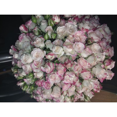 Фото отзыв: Очень понравились! Цветы свежие, в жизни выглядят лучше, чем на фото. Привезли вовремя. Спасибо!!