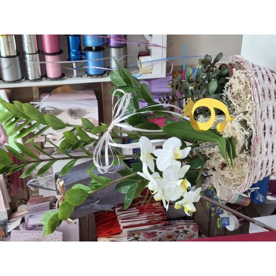 Фото отзыв: 08 августа 2025 года у моего руководителя юбилей и мне хотелось подарить ей что то интересное, оригинальное, не обычное. Решила подарить композицию из цветов в горшках, но каждый цветок со смыслом, чтобы мило и красиво. Рано утром пришла в магазин на м Профсоюзная, меня встретила сотрудник Елена, выслушала мою затею и буквально за 5 минут воплотила ее в жизнь! Елена подобрада все идеально, прям как я себе и представляла, сделала композицию от которой взгляд не оторвать было! Руководитель была очень довольна! И я тоже! От души благодарю Елену за ее работу, креативность и 100% понимание запроса клиента!)