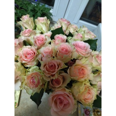 Фото отзыв: Отличные красивые свежие розы, 2 букета по 29 роз. Доставили вовремя, завёрнутые во вспененную плёнку, чтоб не заморозить. 