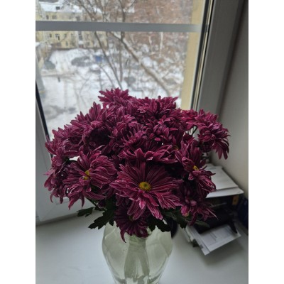 Спасибо огромное. Цветы замечательные. Заказала для подруги в день рожденя. Сама нахожусь в Донецке (ДНР), а она в Москве. Сюрприз удался. Фото отзыв: Спасибо огромное. Цветы замечательные. Заказала для подруги в день рожденя. Сама нахожусь в Донецке (ДНР), а она в Москве. Сюрприз удался.