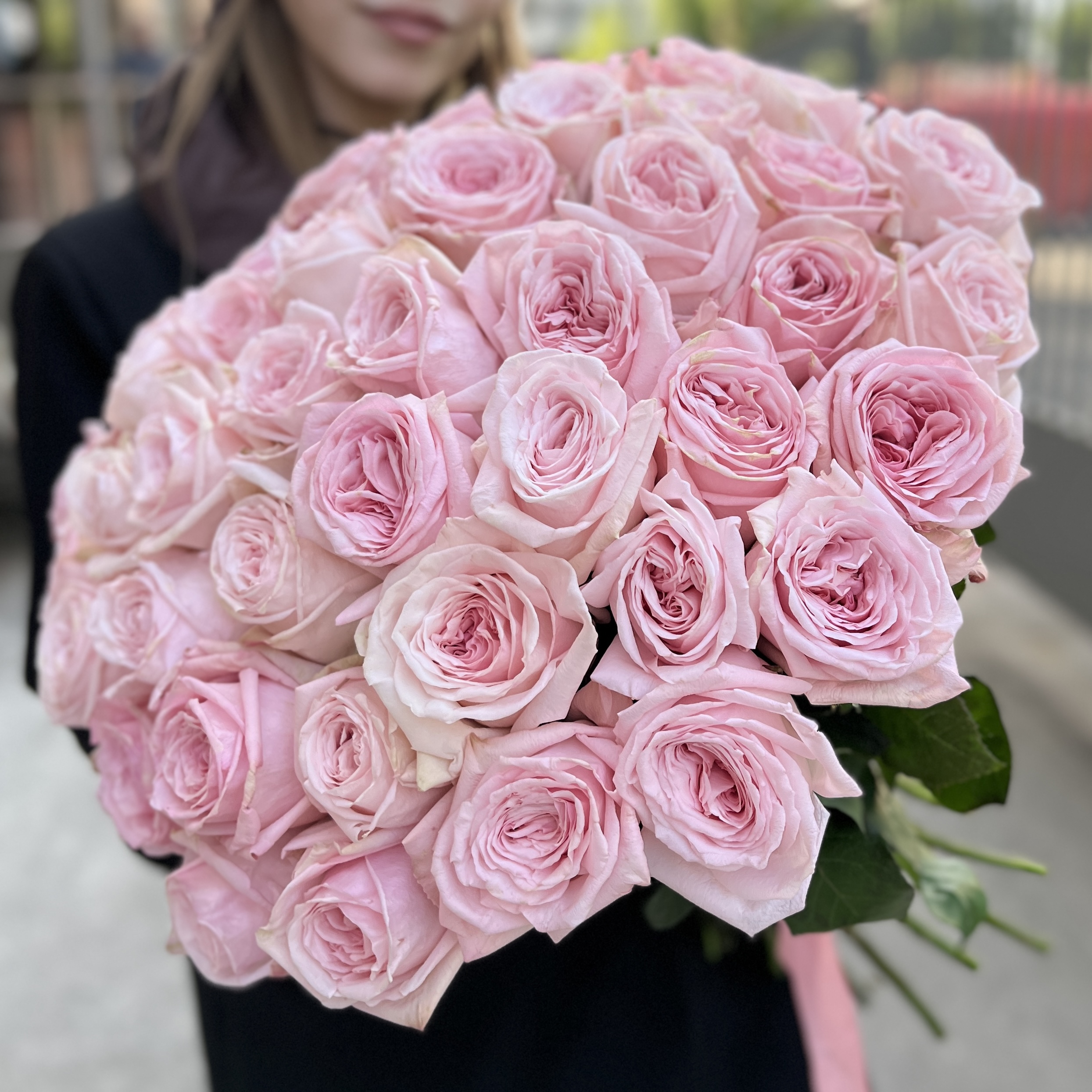 45 ароматных пионовидных Роза Пинк Охара 50 см