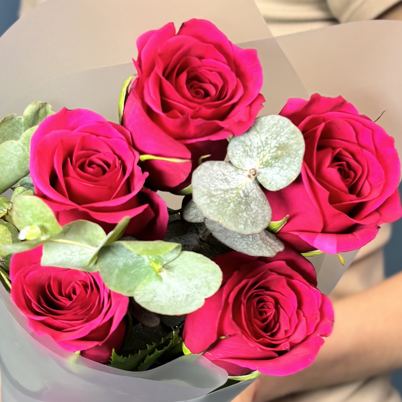 5 малиновых роз Такаци с эвкалиптом