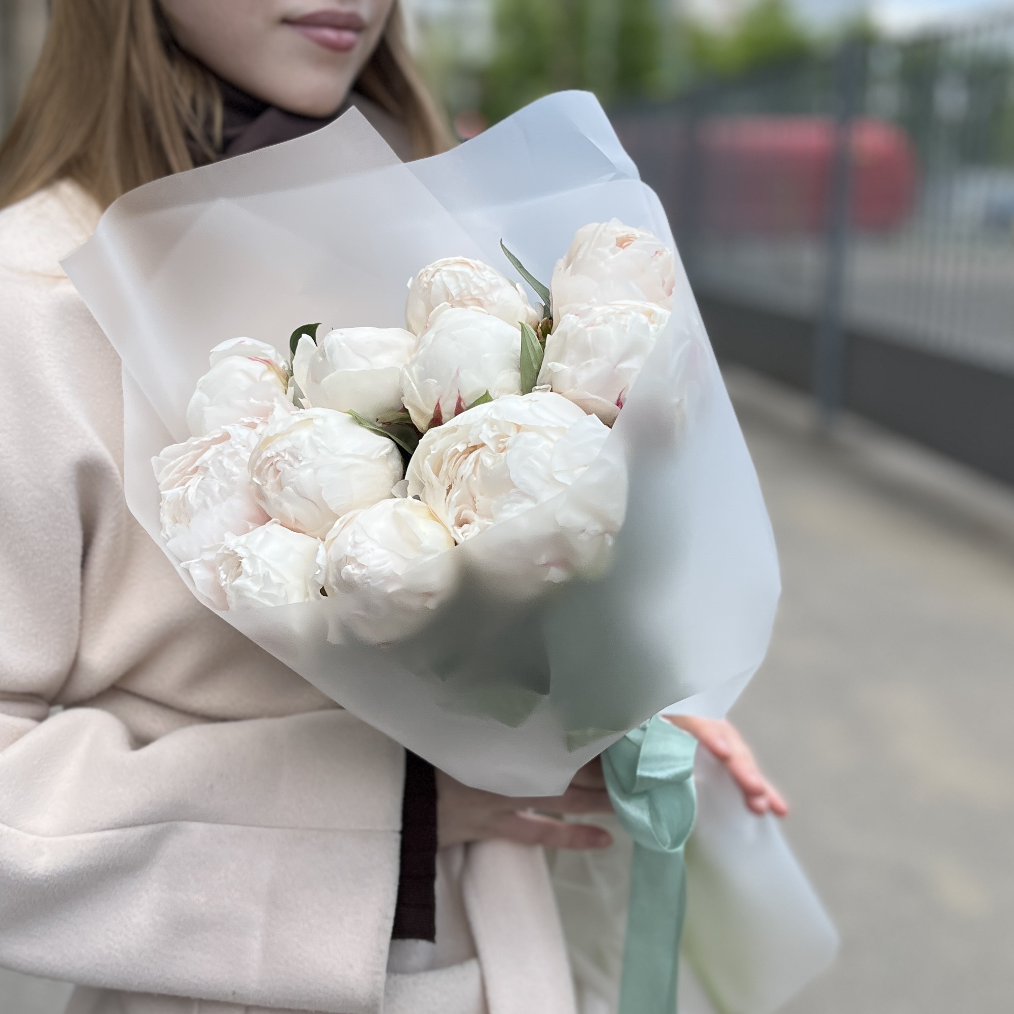 11 пионов Фестива XL
