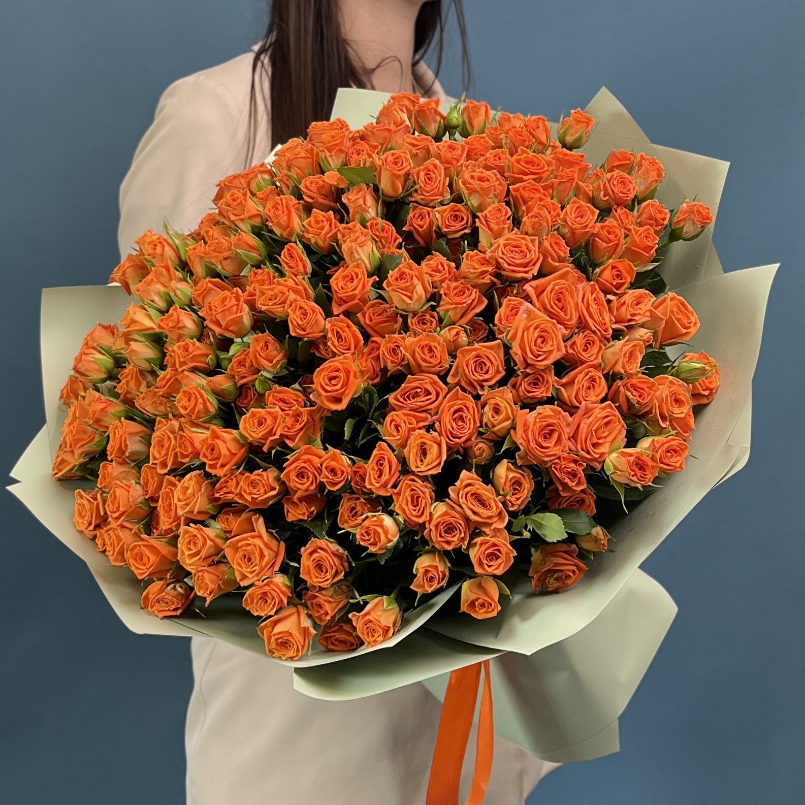 51 кустовая оранжевая роза Чарминг Бейб 40 см