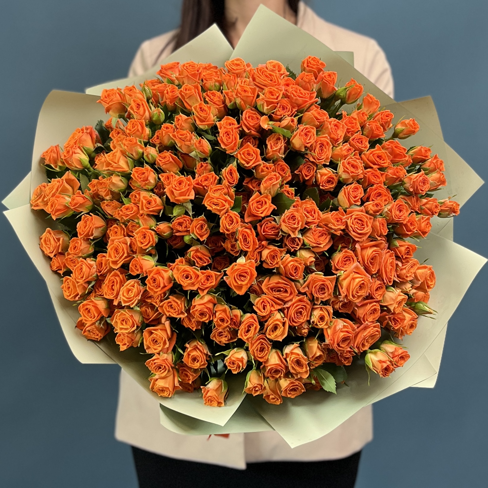 51 кустовая оранжевая роза Чарминг Бейб 40 см