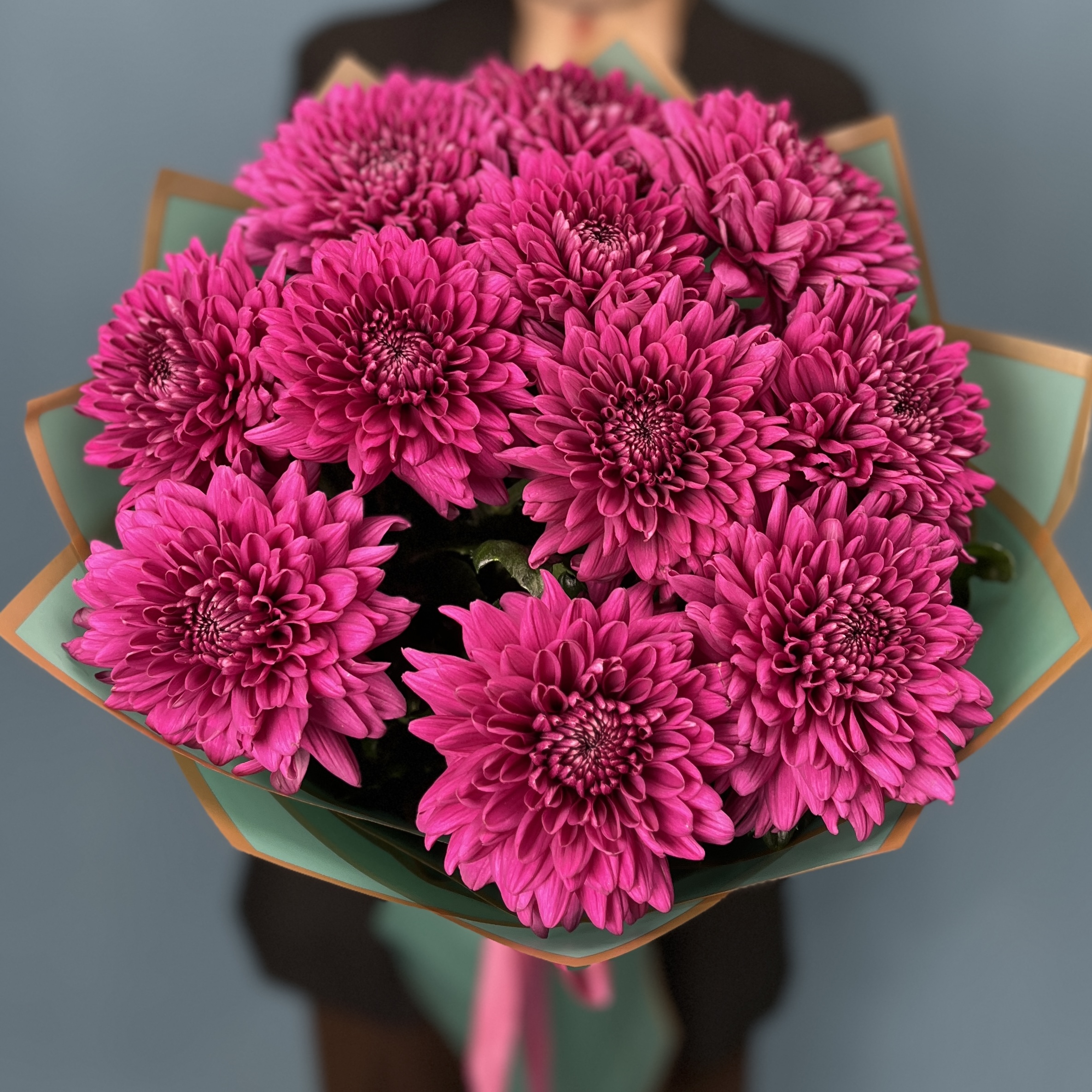 11 фиолетовых хризантем Ламира