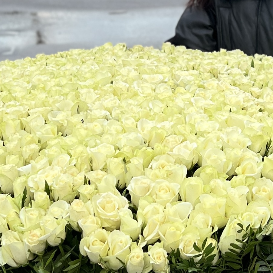 1001 нежная белая роза в корзине