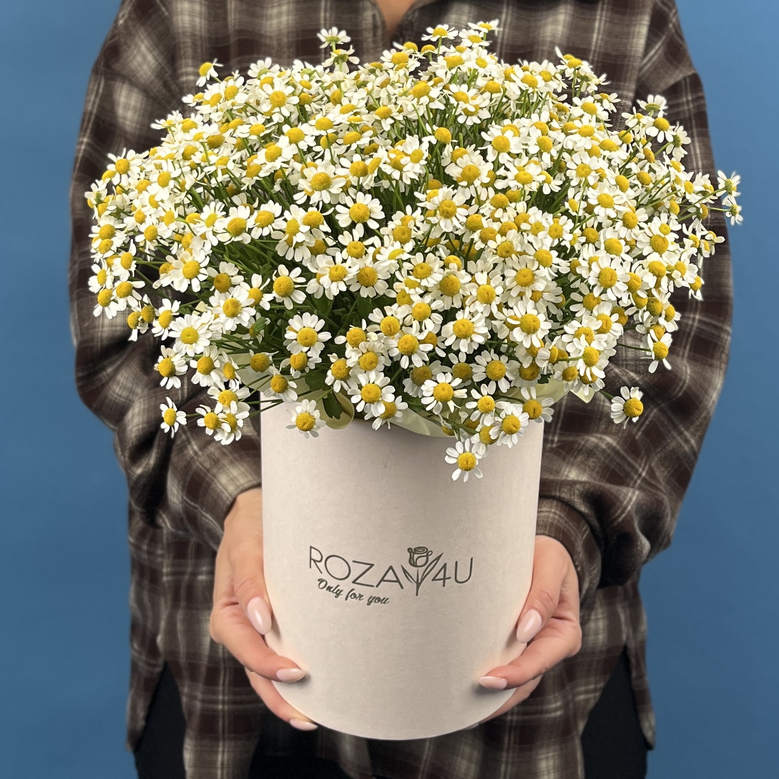 Коробка ромашек