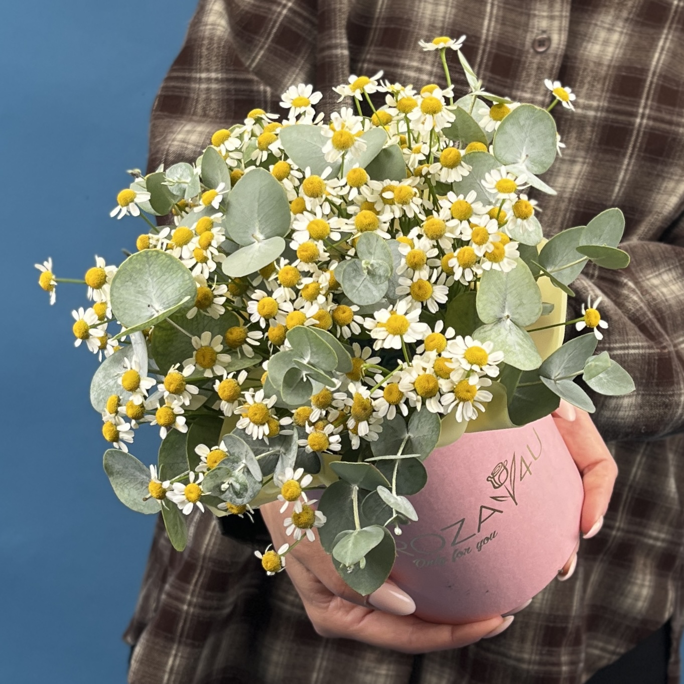 Маленькая коробка ромашек