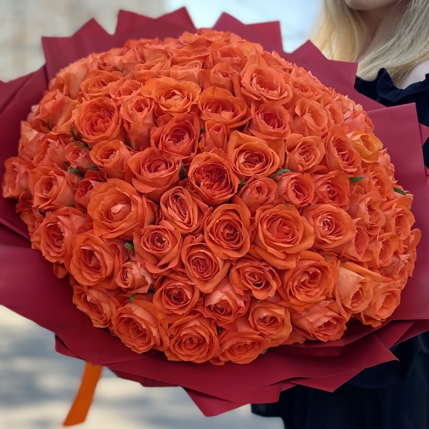 101 оранжевая роза