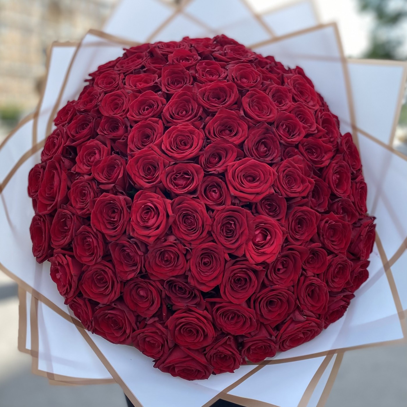 101 красная роза Ред Наоми 50 см