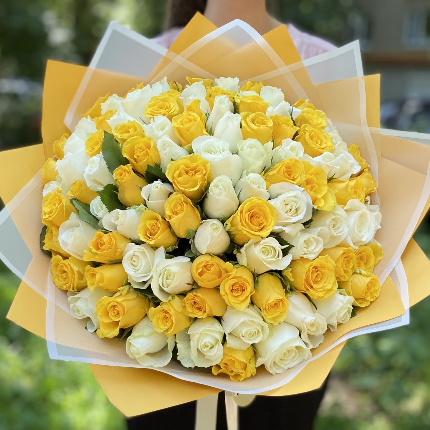 101 желтая и белая роза