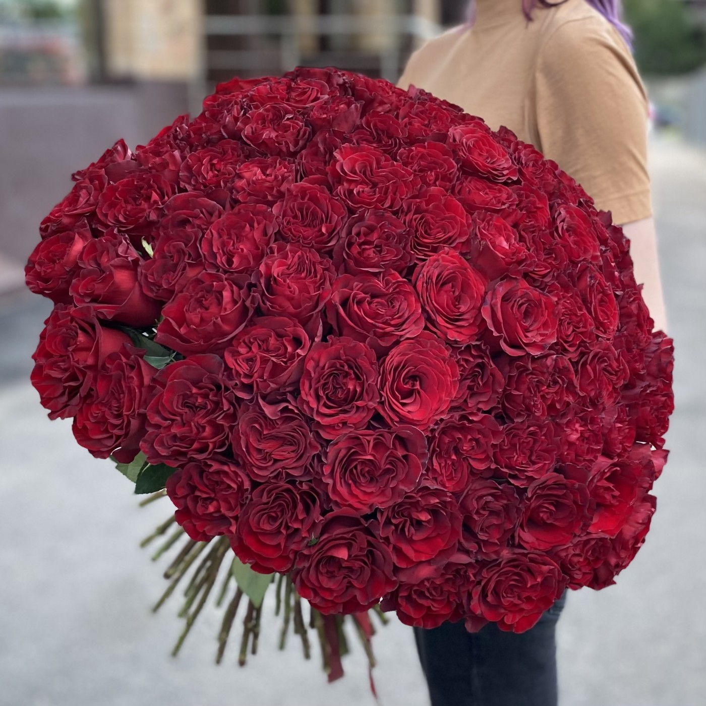 101 красная пионовидная роза Хартс