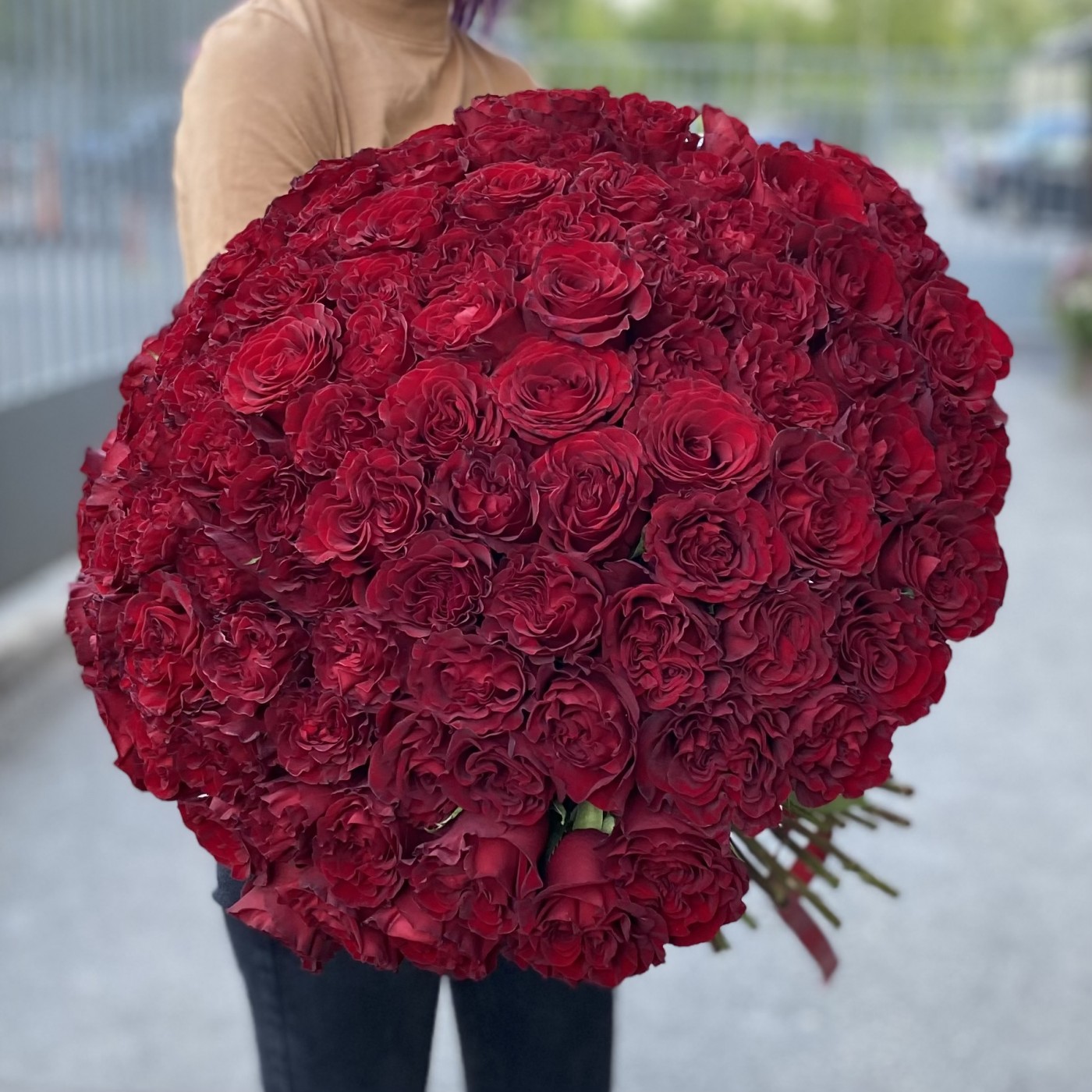 101 красная пионовидная роза Хартс
