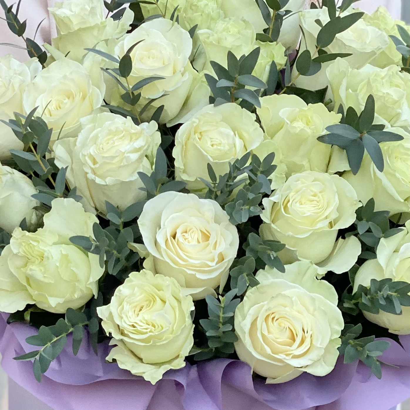 25 белых роз Мондиаль с эвкалиптом в коробке
