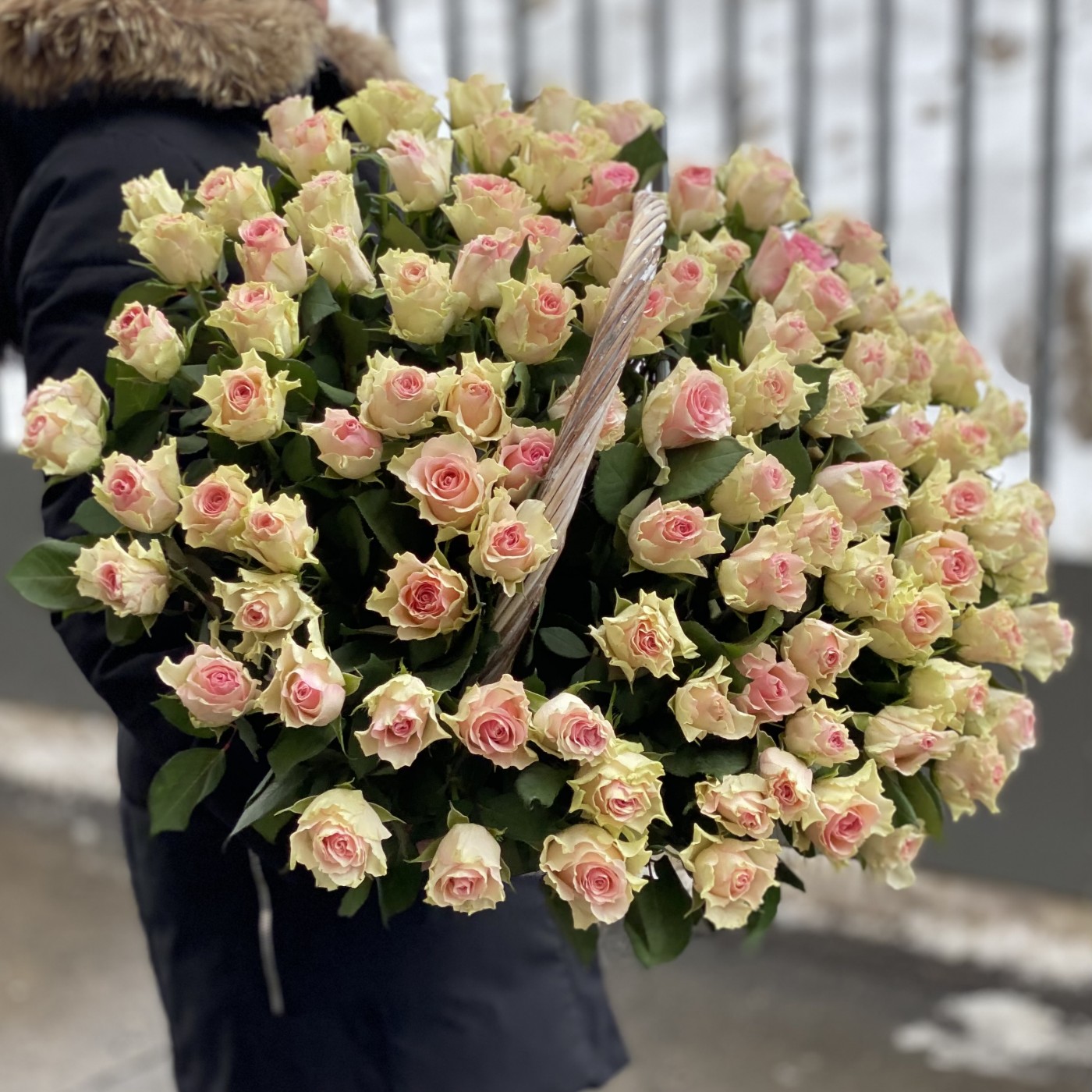 101 бело-розовая роза Топ-гир в корзине