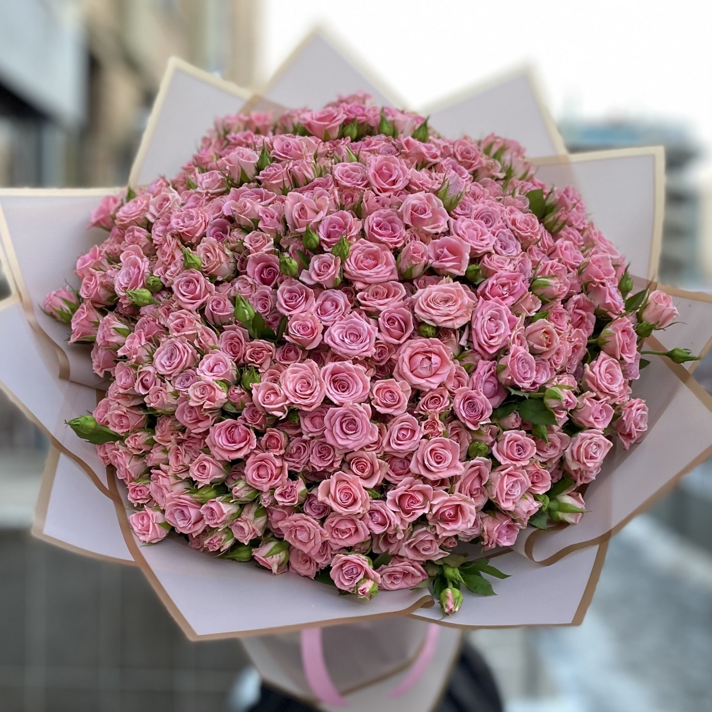 101 розовая кустовая роза Одилия 40 см