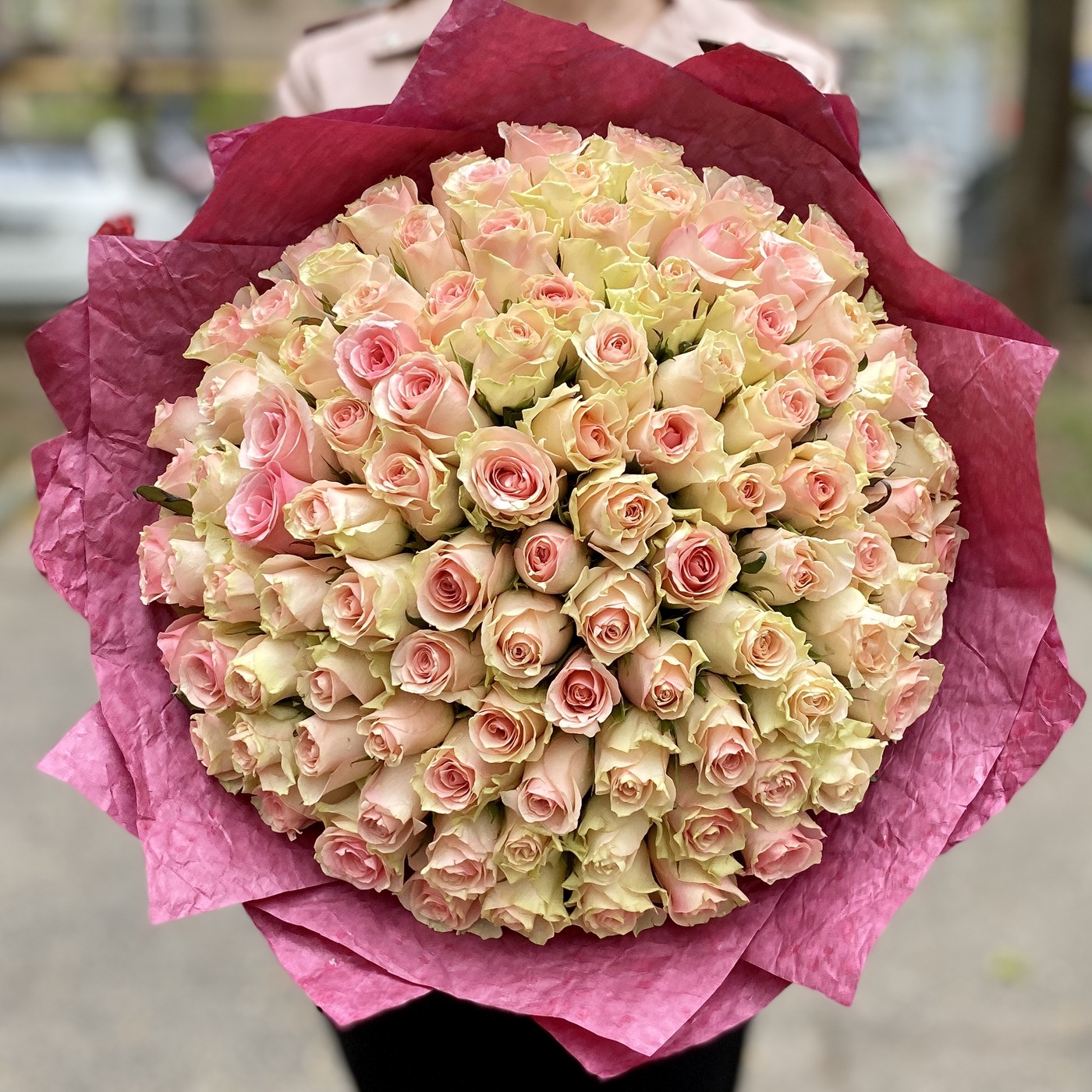 101 нежно-розовая роза Бэби Лав