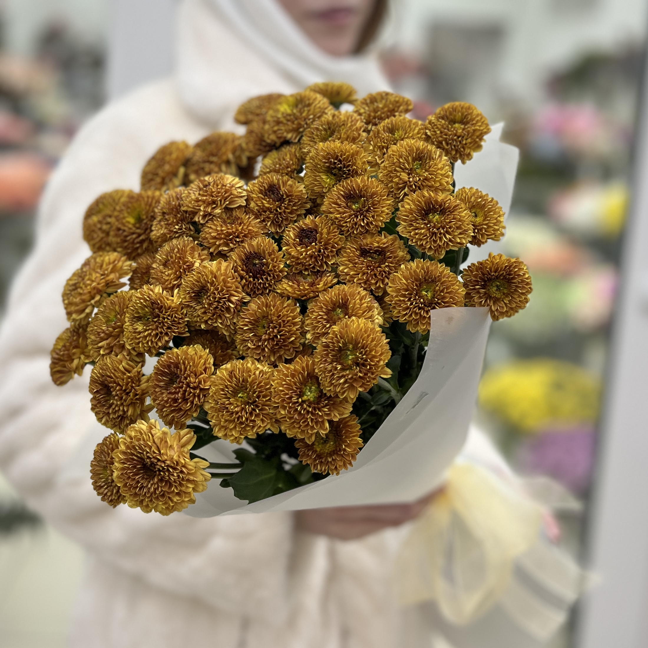 11 оранжевых кустовых хризантем Дориа Оранж
