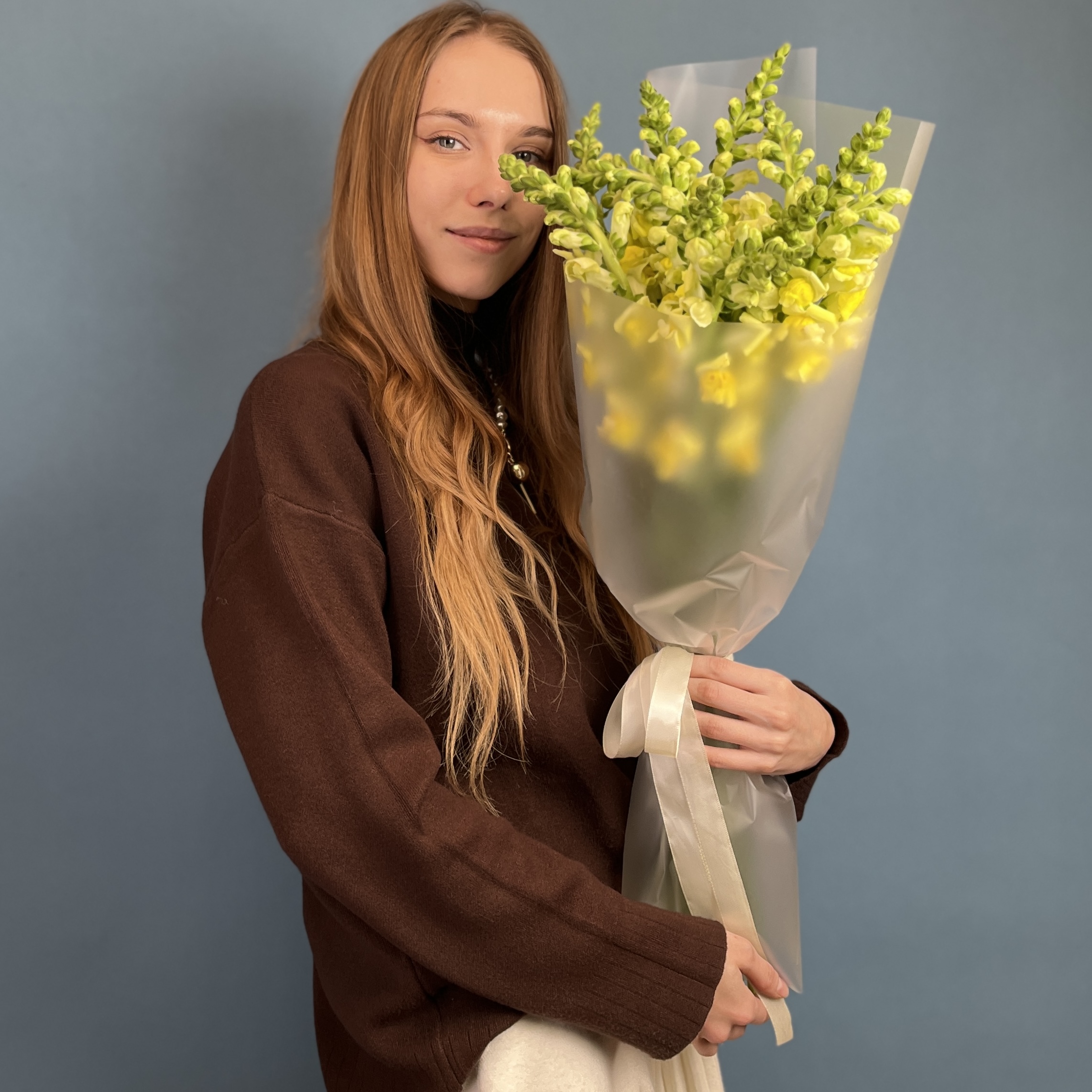 11 желтых антиринумов