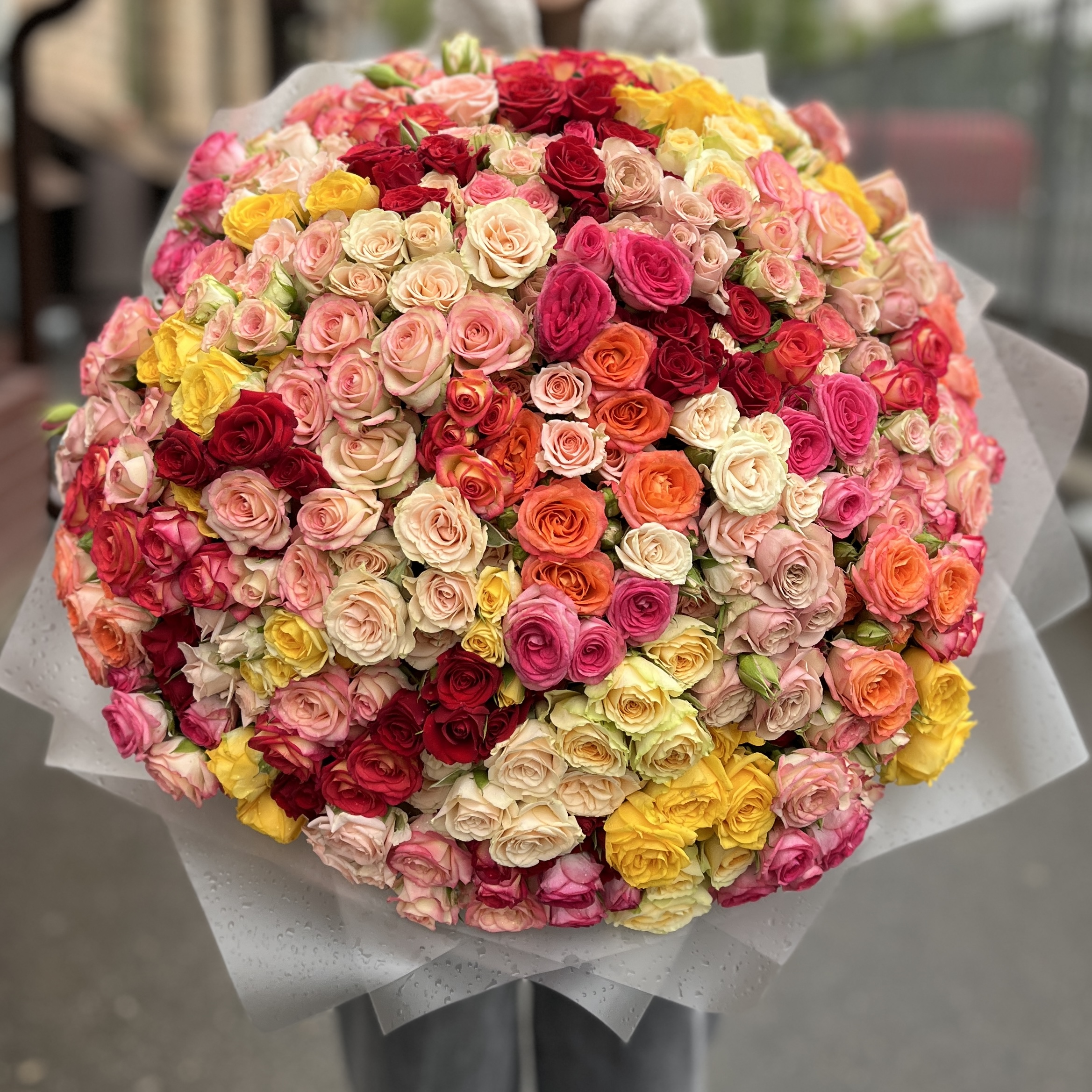 101 кустовая Роза MIX