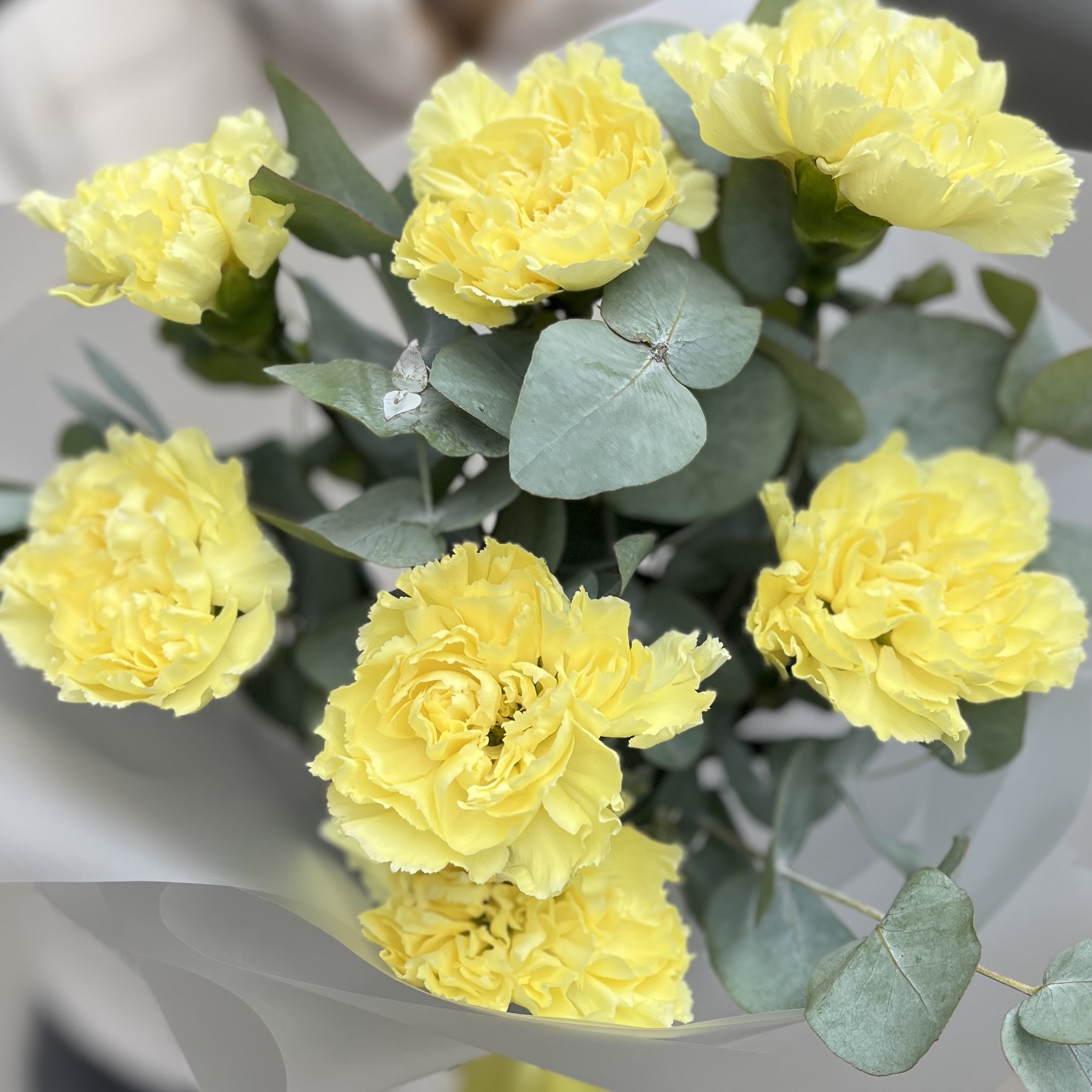 Букет из 7 желтых гвоздик с эвкалиптом