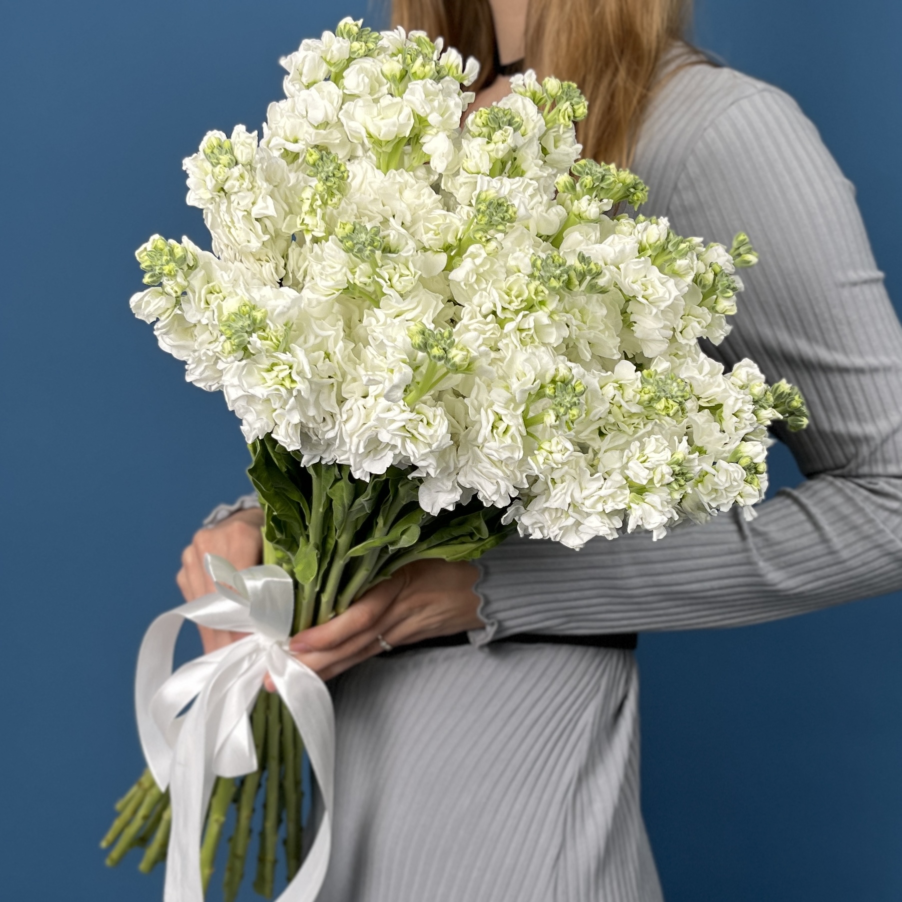 Маттиола белая