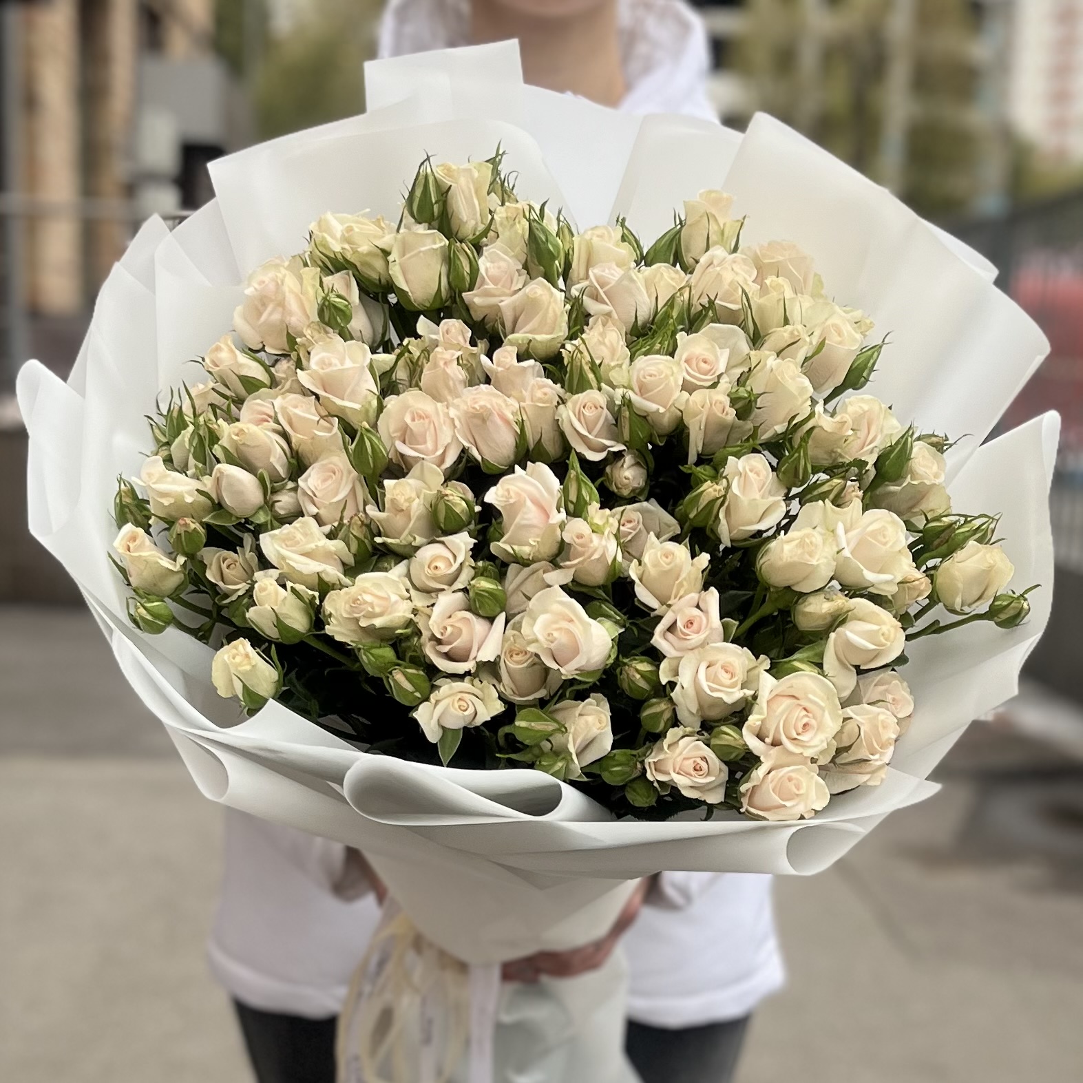 15 кустовых роз Роял Порцелина 80 см