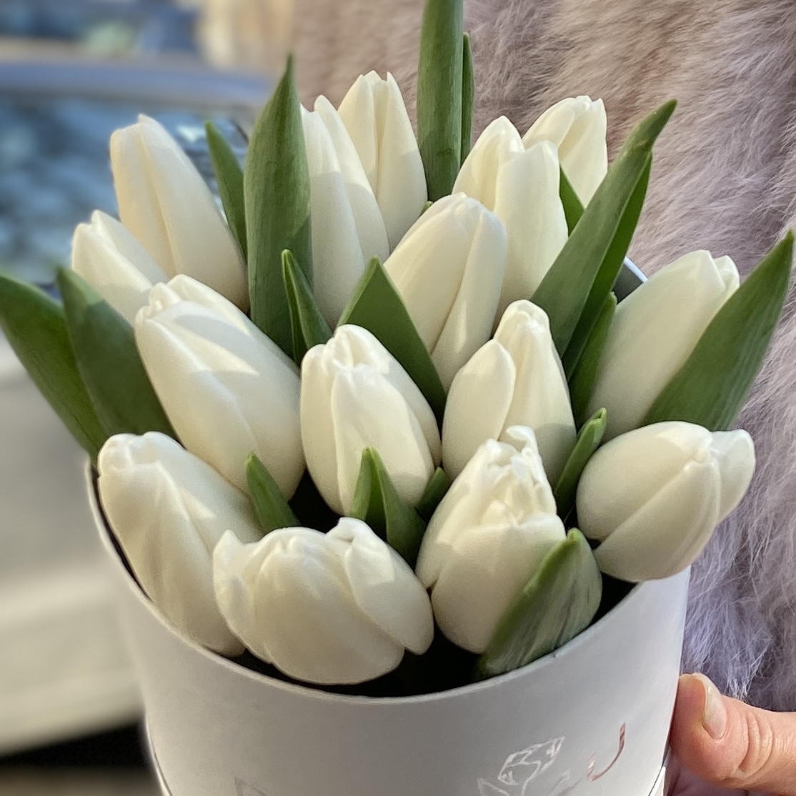 15 белых тюльпанов в коробке