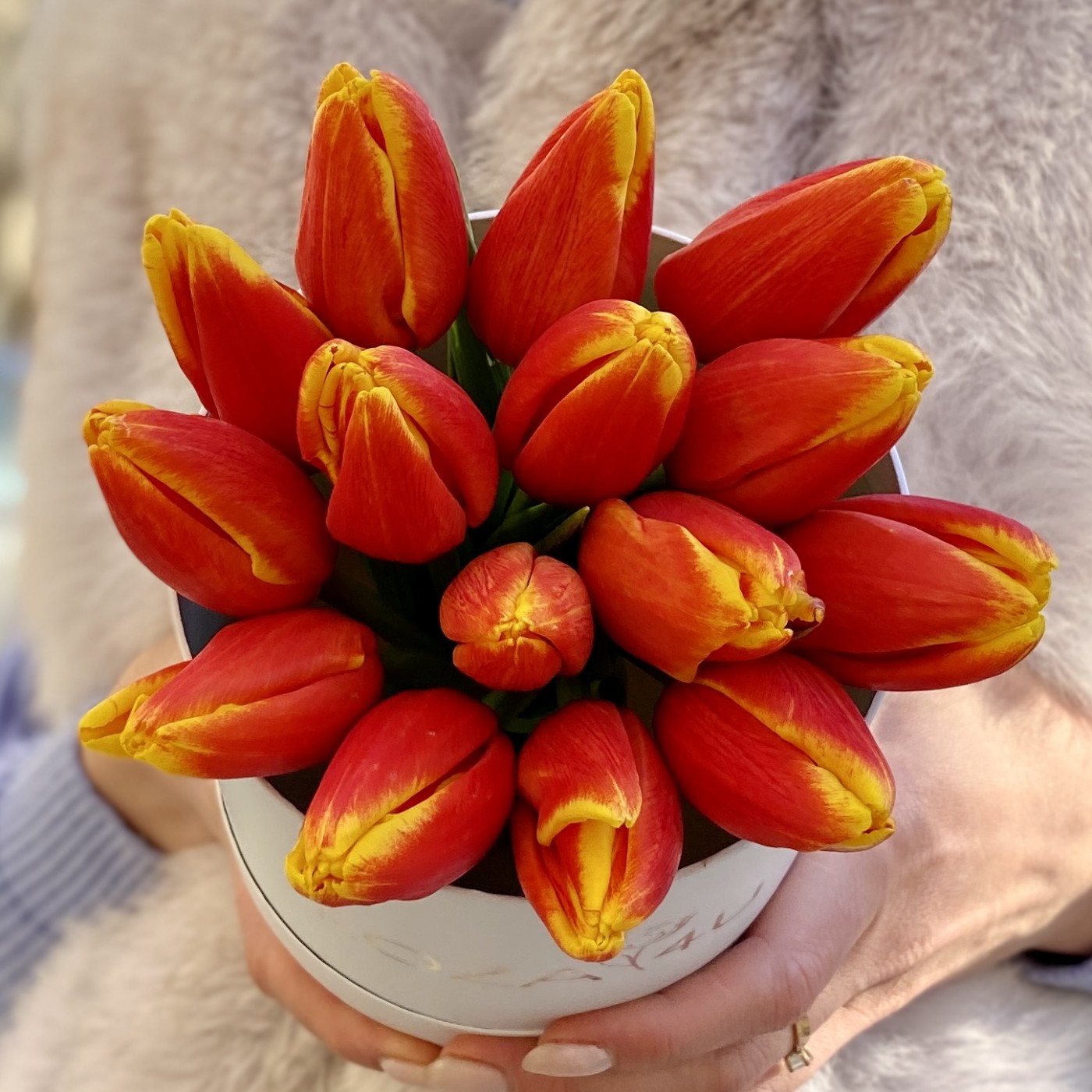 15 красно-желтых тюльпанов в коробке