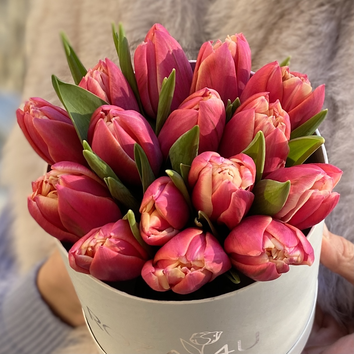 15 пионовидных тюльпанов в коробке