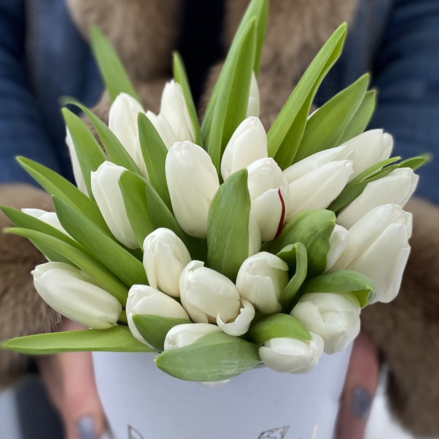 25 белых тюльпанов в коробке