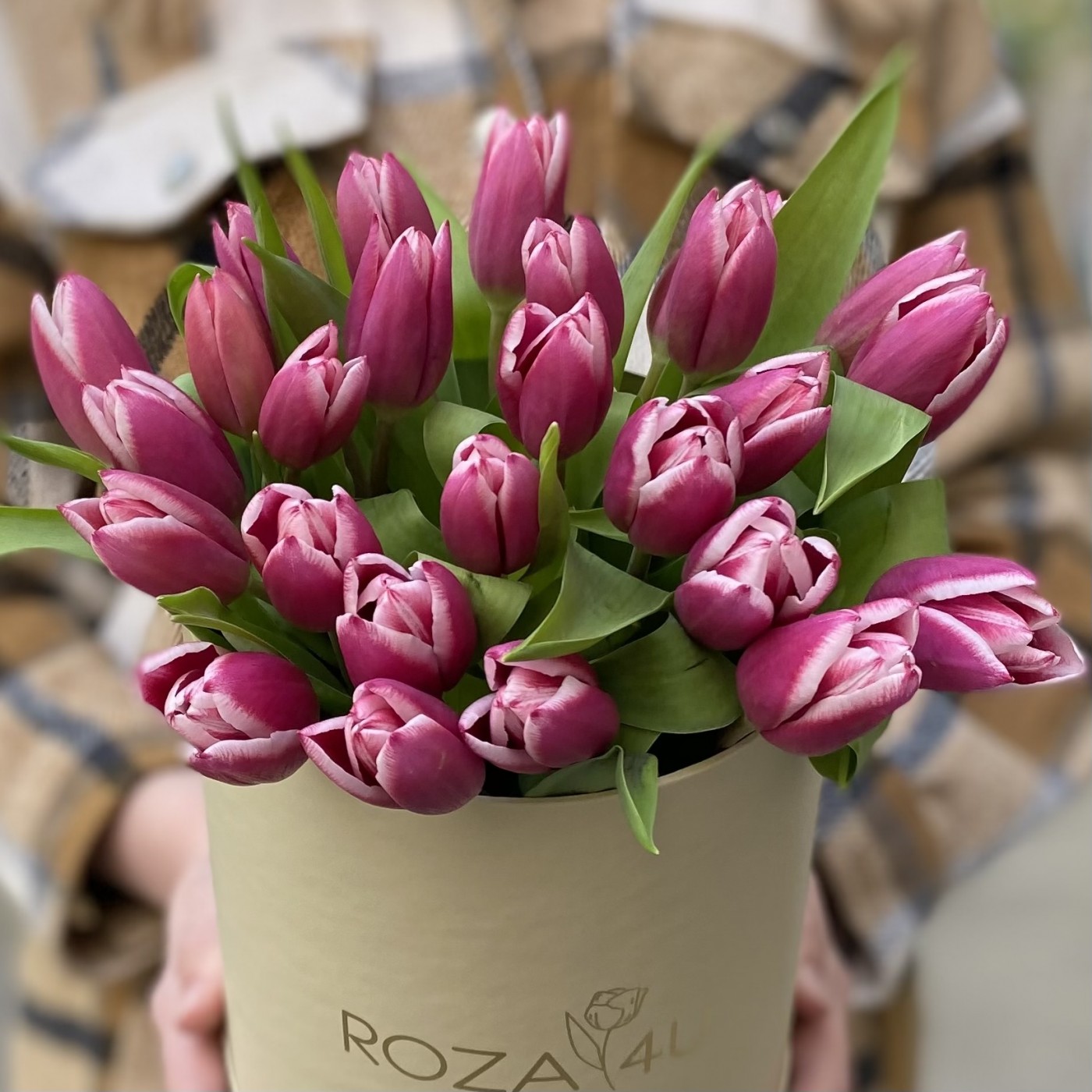 25 розово-белых тюльпанов в коробке