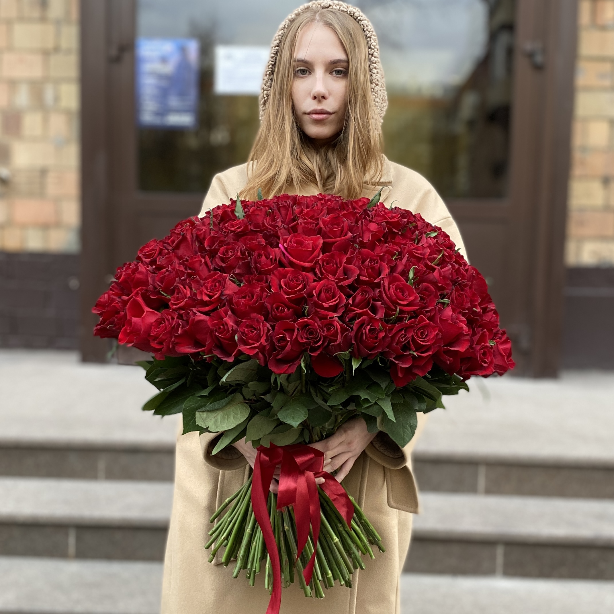 151 красная роза Эвер Ред 60 см