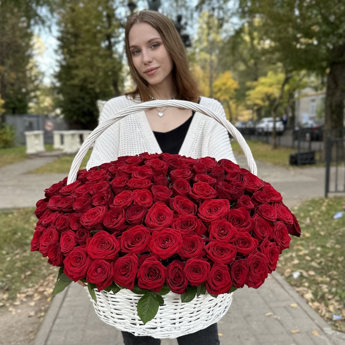151 ароматная красная роза в корзине