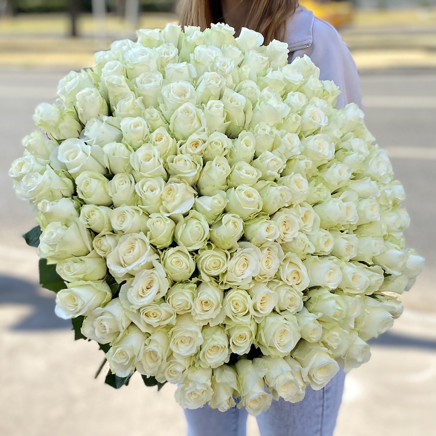 151 белая роза 60 см