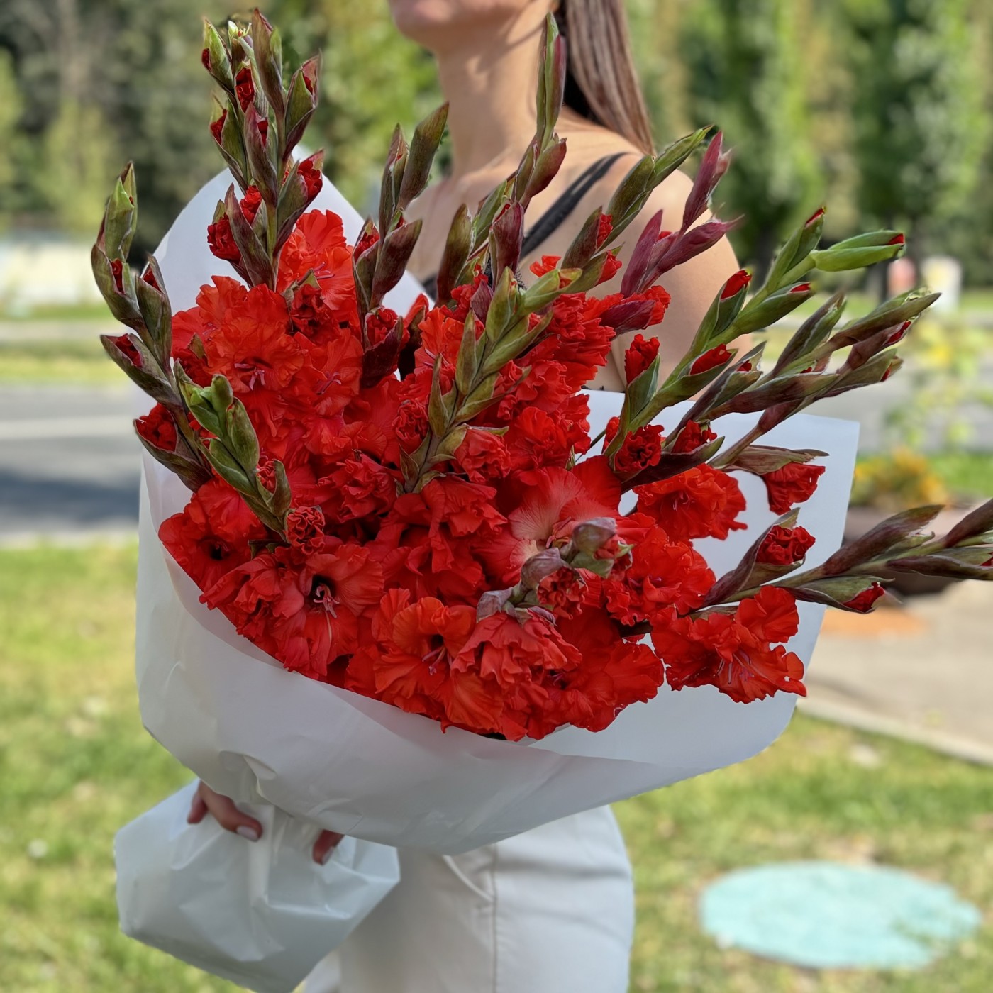 15 красных гладиолусов