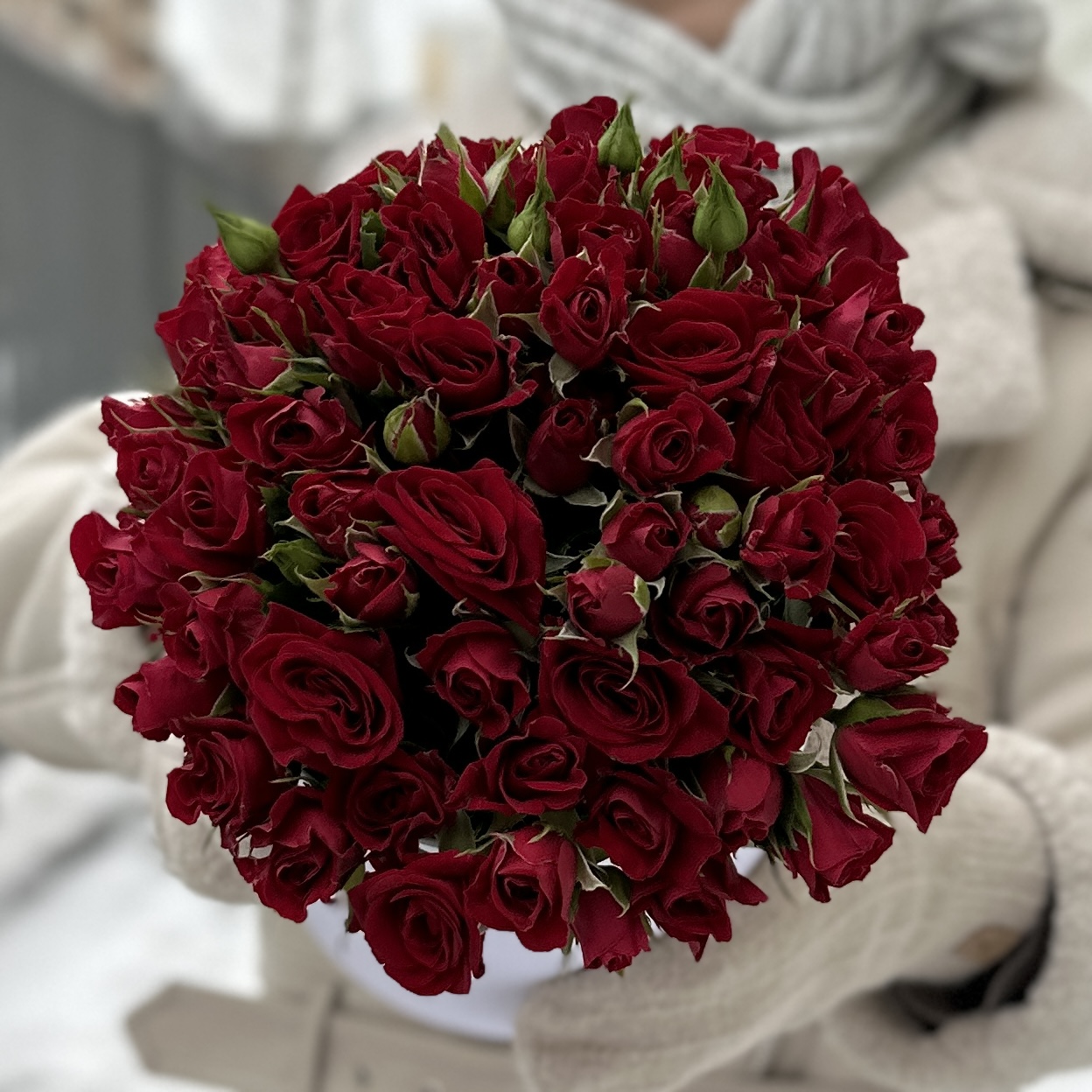 15 красных кустовых роз Рубикон в коробке