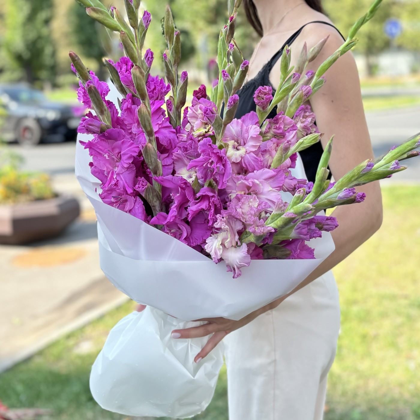 15 темно-фиолетовых гладиолусов