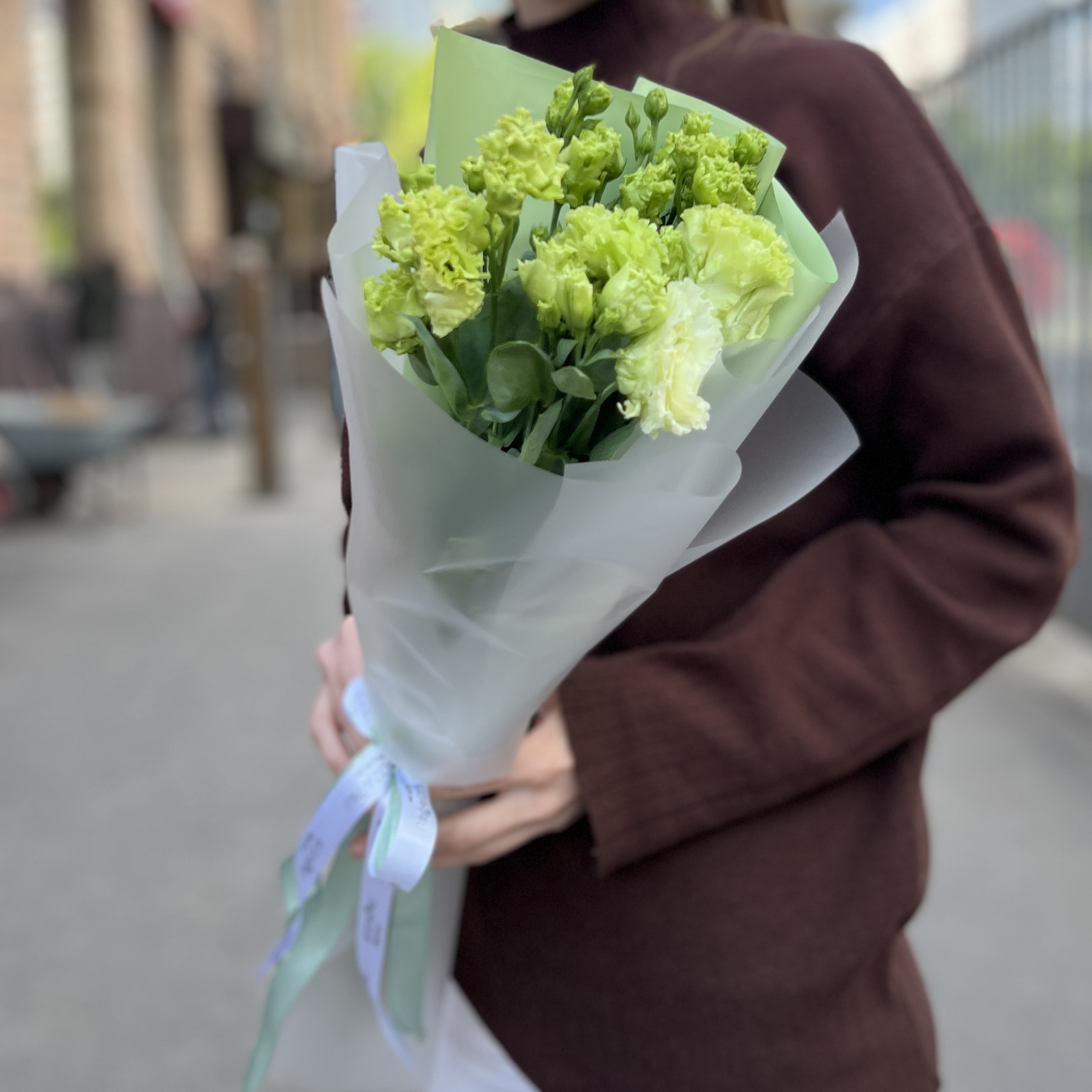5 зеленых махровых эустом