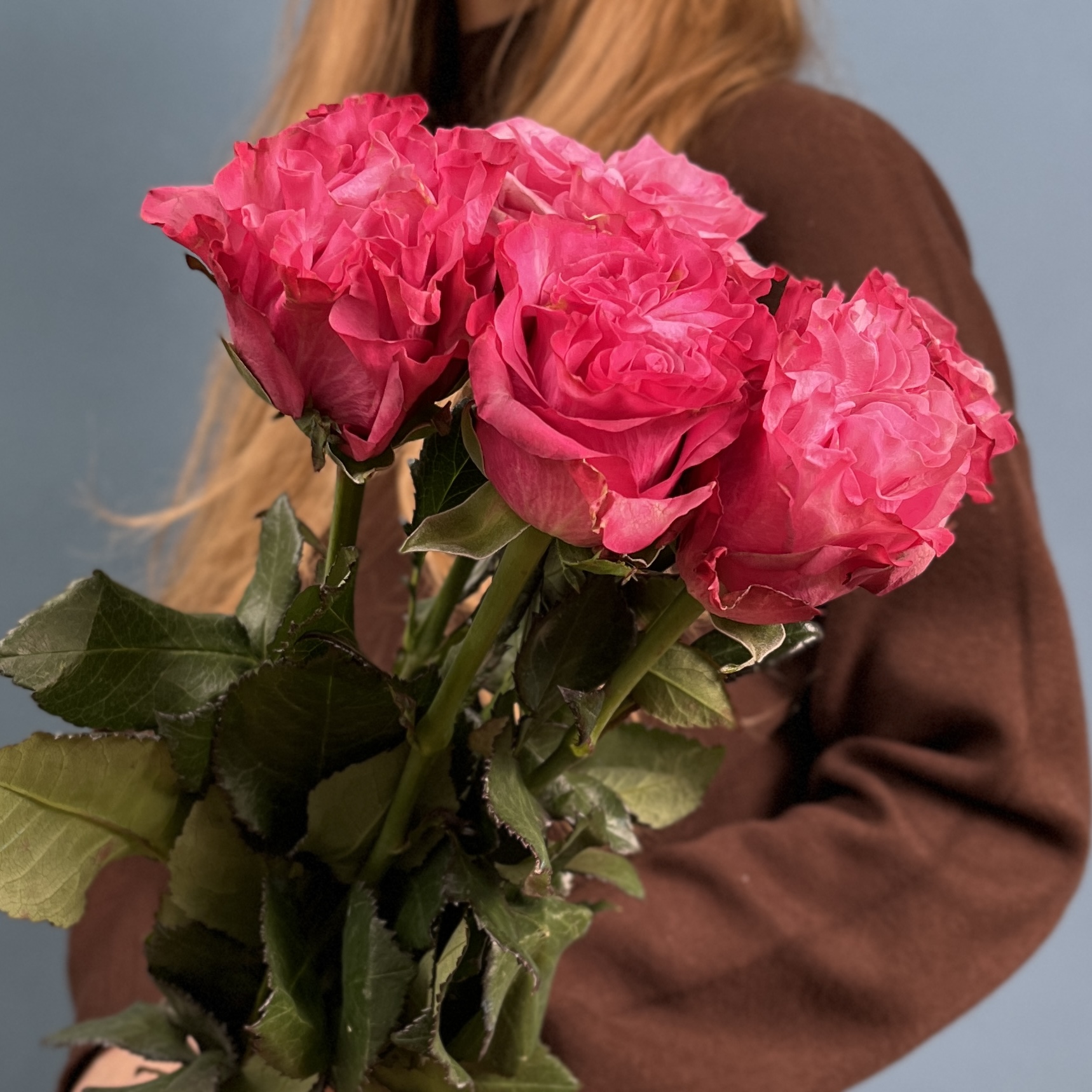 5 пионовидных сиреневых роз Кантри блюз 60 см