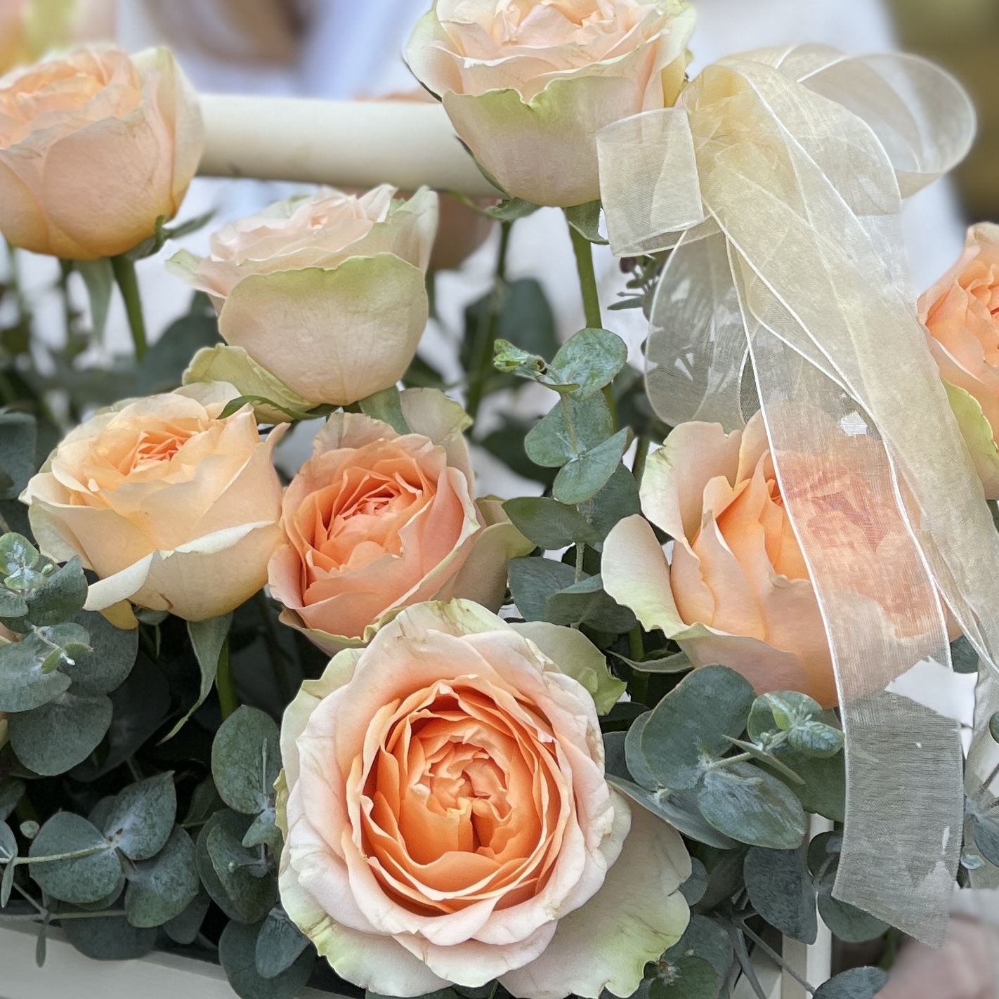 17 кремовых пионовидных роз Гравити в ящике