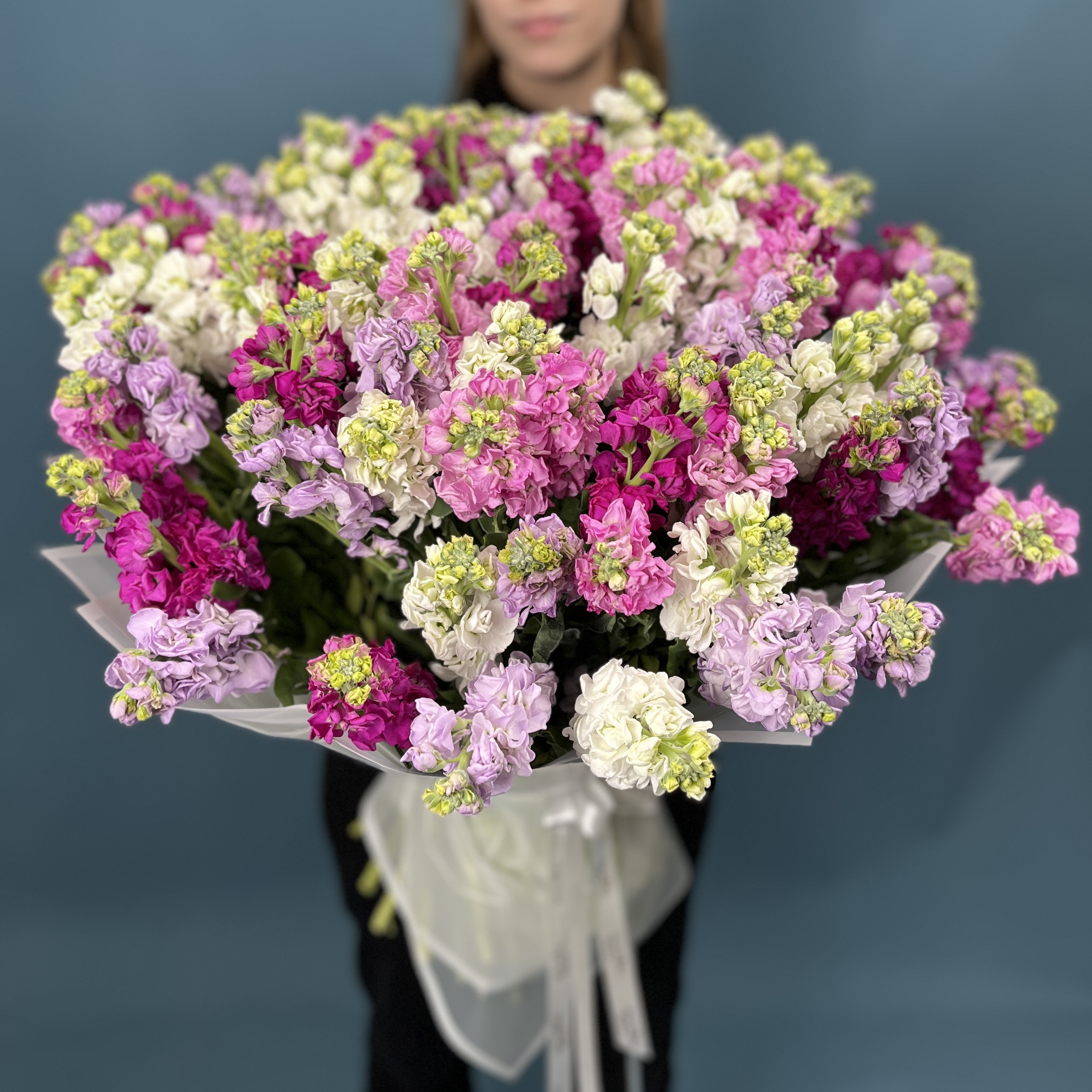 101 маттиола яркий MIX