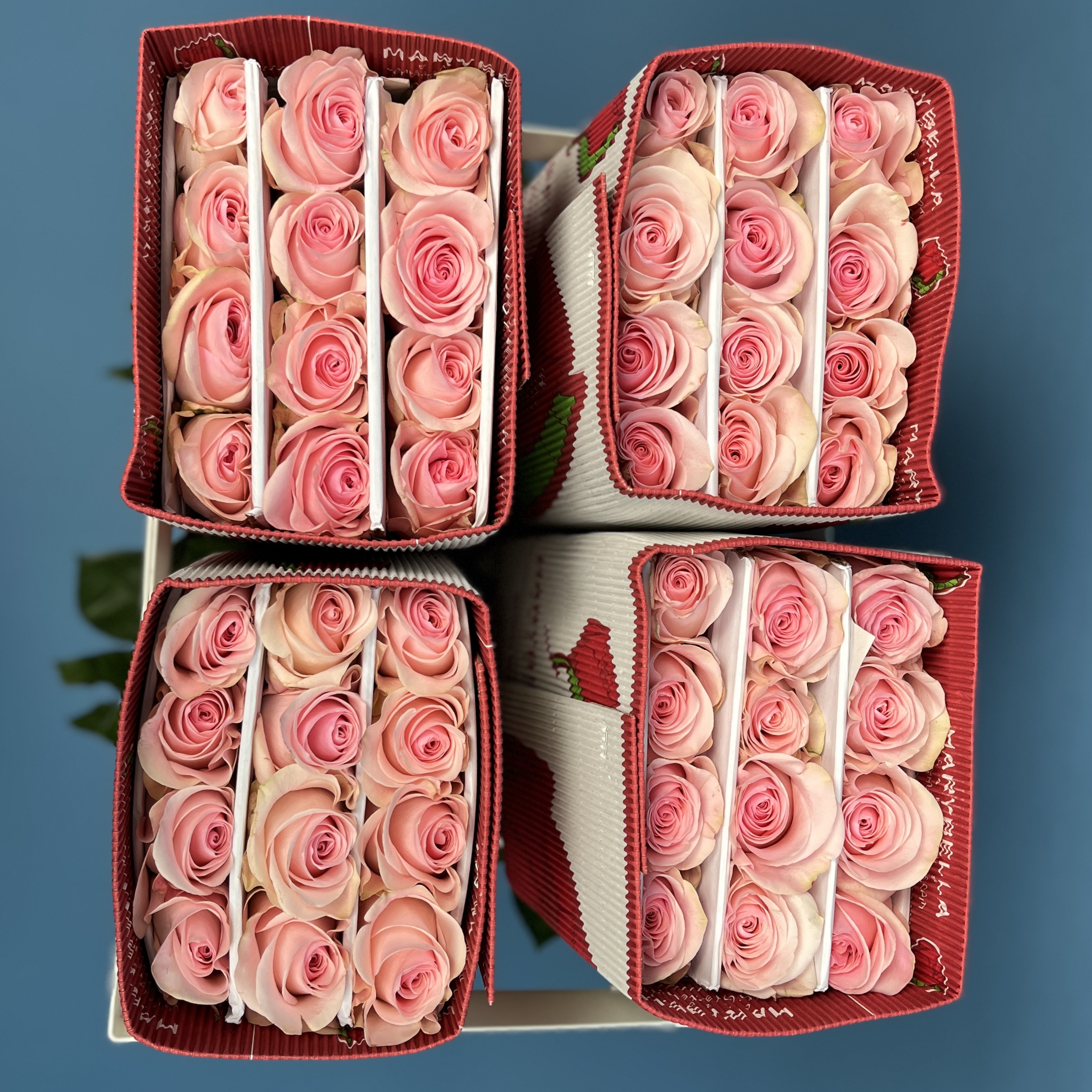 Роза 60 см Розовая Новия