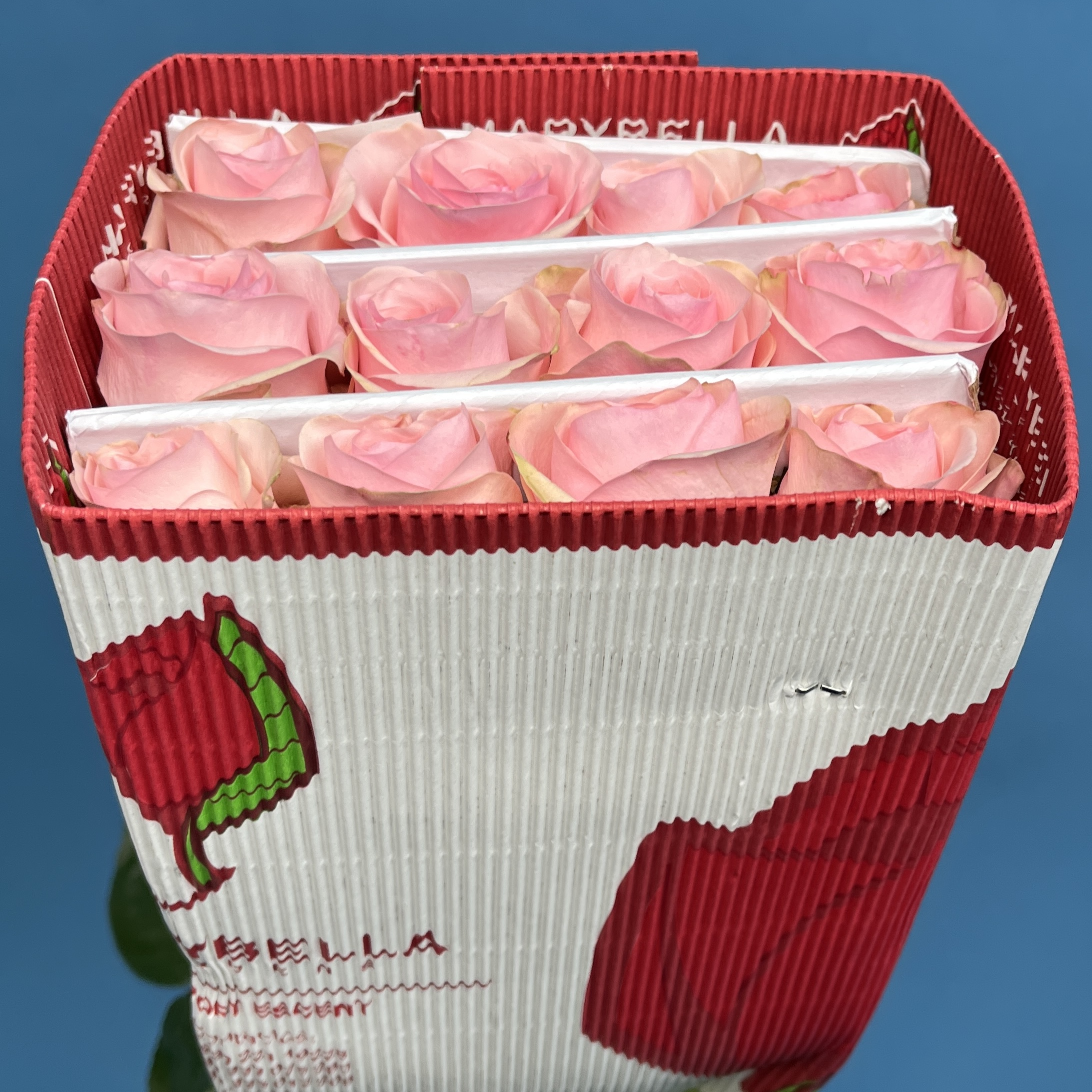 Роза 60 см Розовая Новия